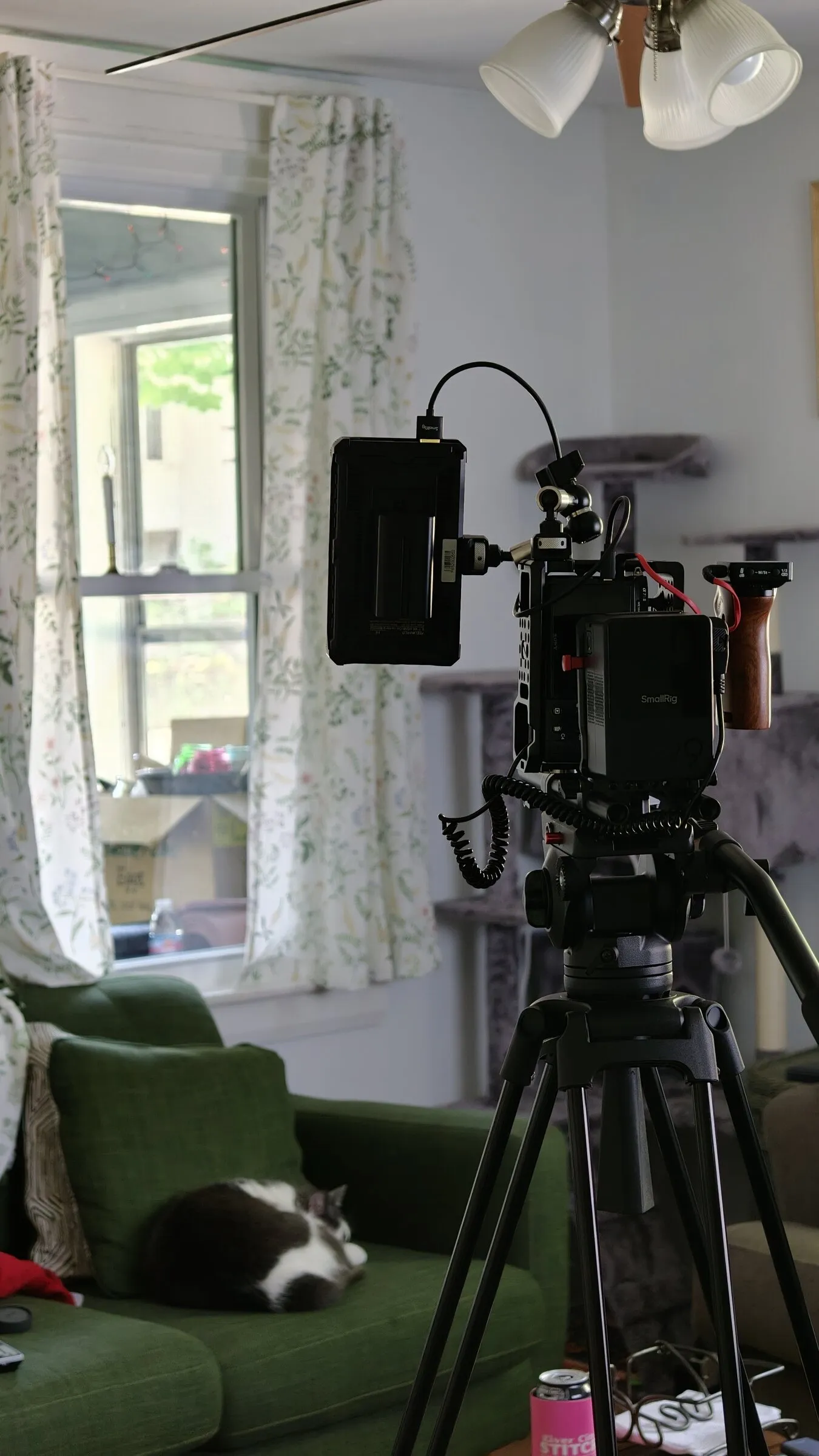 Cinema camera on a tripod by a window, a cat asleep on the couch behind it